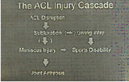 acl injury cascade,acl injury,acl reconstruction india,acl reconstruction best india,acl reconstructionbest doctors in india,acl reconstruction best surgeon in india,acl reconstructionbest surgery in india,acl reconstruction best treatment in  india,acl reconstruction in south  india,acl reconstruction north  india,acl reconstruction  east india,acl reconstruction west india,acl reconstruction best in  india,acl reconstruction best surgery in india,acl reconstruction cost-effective in  india,acl reconstruction best doctors in india,acl reconstruction india,acl reconstruction india,acl reconstruction india,acl reconstruction now in india,acl reconstruction india,acl reconstruction by dr.bajaj,acl reconstruction by p.s.bajaj