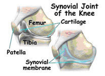 arthroscopy,arthroscopy delhi,arthroscopy india,arthroscopy clinic india,arthroscopy clinic delhi,arthroscopy south delhi,arthroscopy surgery,arthroscopy patient,arthroscopy surgen,arthroscopy north delhi,arthroscopy india doctors,arthroscopy north - west delhi,arthroscopy india surgen,arthroscopy patient delhi,arthroscopy delhi surgery,arthroscopy south -ex surgen,arthroscopy east delhi,arthroscopy surgery india,arthroscopy east-surgen india,arthroscopy indian surgen,arthroscopy joint surgery ,arthroscopy joint surgery india , arthroscopy joint surgery delhi,arthroscopy south - ex surgen india,arthroscopy su